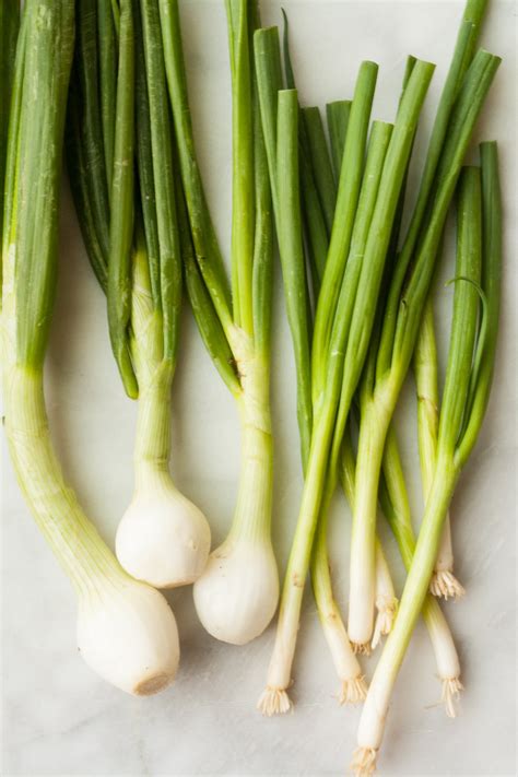 Difference Between Scallions And Green And Spring Onions Kitchn