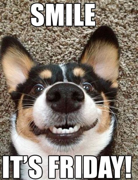 Checkout happy friday memes who give you joy, fun the best happy friday meme for you. Smile it's friday! | goodmorningpics.com