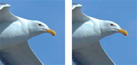A jpg file is an image saved in a compressed image format standardized by the joint photographic experts group (jpeg). Optimizing images for the JPEG format