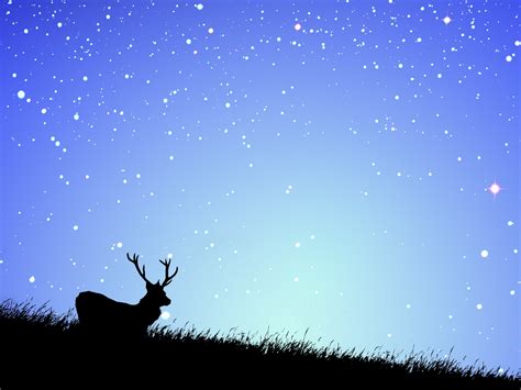 Dark sky festival, star gazing sessions at jasper sky tram, jasper planetarium. Five top places to observe the stars - Parenting Without Tears