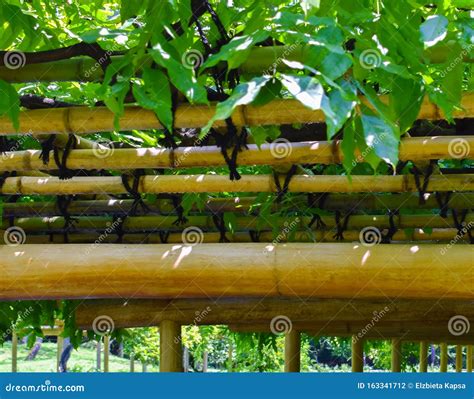 Beautiful Bamboo Pergola Construction In Japanese Garden Stock Photo