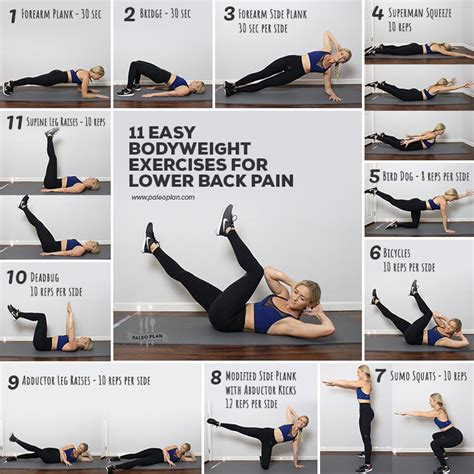 11 Easy Bodyweight Exercises For Lower Back Pain Paleoplan