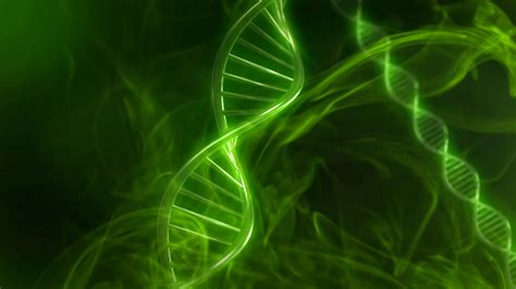 Green Dna Code With Genetic Background In Slow Motion D Animation