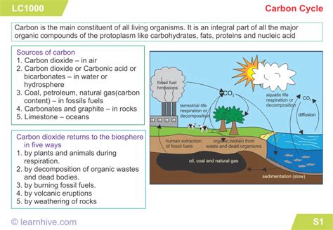 Below are some of the skills and concepts your child will. Learnhive | CBSE Grade 9 Science Natural resources ...