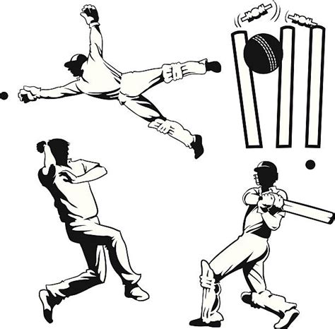 Cricket Bat And Ball Pics Illustrations Royalty Free Vector Graphics