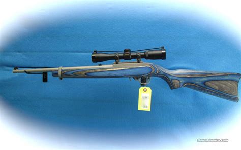 Ruger 1022 Blue Laminated Stock Wnikon 4x Sco For Sale