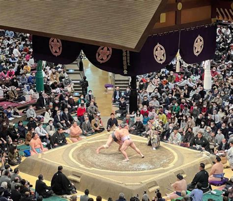 Where To Watch Sumo In Tokyo Dear Japanese