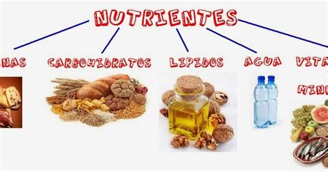 Otro ejemplo de esto es la elaboración de ácido láctico para el esfuerzo de músculos. come limpio: LOS NUTRIENTES : MACROnutrientes MICROnutrientes