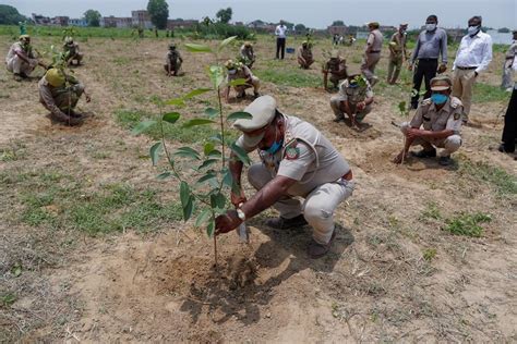 India Plants Millions Of Trees To Reduce Carbon Emissions Canadas