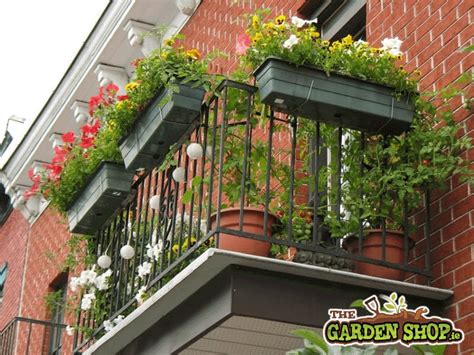 Top Tips For Balcony Gardening How To Garden