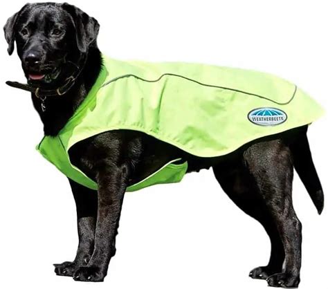 8 Best Waterproof Dog Coats With Underbelly Protection Dogs Travel Guide