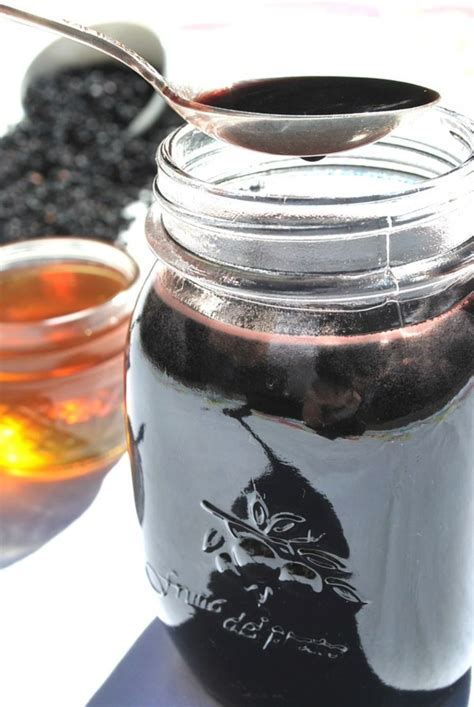 Holunder vom straßenrand besser nicht zum holundersirup selber machen verwenden. Holundersirup selber machen: gesundheitliche Vorteile und ein einfaches Holundersirup Rezept
