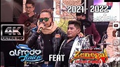 Alfredo Larico Feat Agrupación Zenegal 2022 - te amo (Video Oficial ...