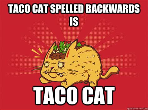 Taco Status Taco Cat Quickmeme