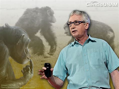 Frans De Waal Y Sus Experimentos Para Comprender La Inteligencia Animal