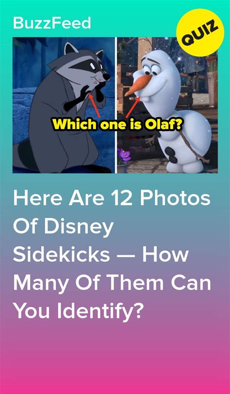 Can You Identify These Disney Princess Sidekicks By Name Disney