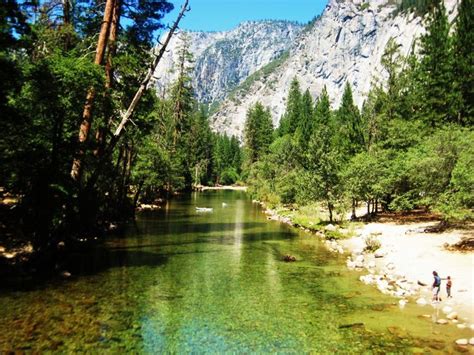 Osemite National Park Usa The Merced River In Yosemite National Park