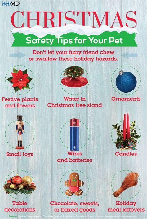 Pet Tips Reveal Christmas Holiday Tips Healthy Pets Pet Safety