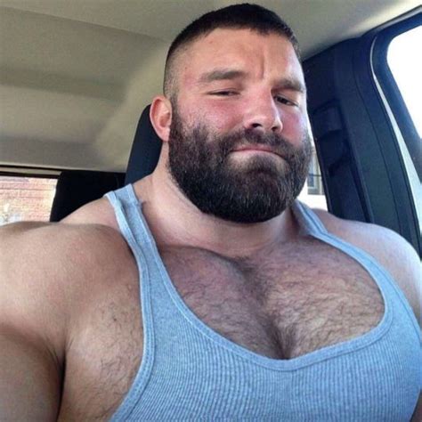 The Muscle Bear Barba Sin Bigote Hombres Peludos Oso Musculoso