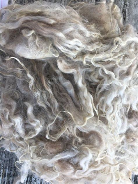 Angora Goat Raw Fleece Mohair Fiber For Dyeing Spinning And Etsy In