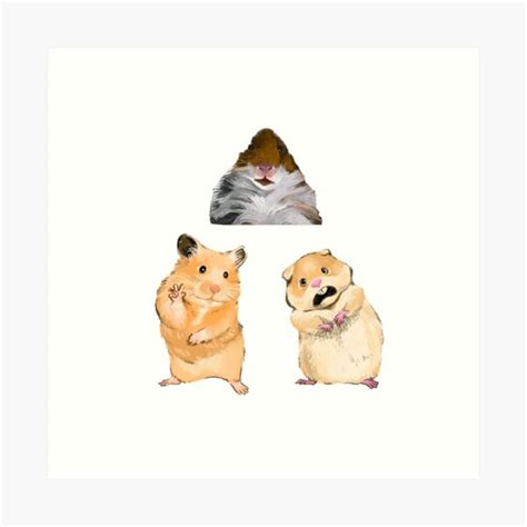 Three Hamster Memes Art Print For Sale By Creativetea Redbubble