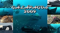 GALÁPAGOS 2009 - TRAILER - HD - YouTube