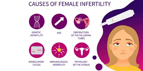 Infertility Symptoms Causes Types And Treatment Oasis Fertility