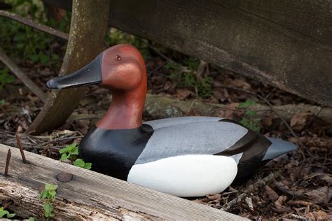 How To Make A Duck Decoy The Woodcarvers Cabin
