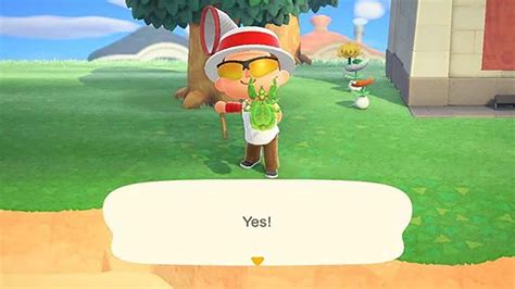 Every New Bug And Fish To Catch For July In Animal Crossing New Horizons