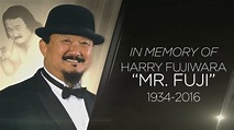 A special look at Mr. Fuji's legendary career - YouTube