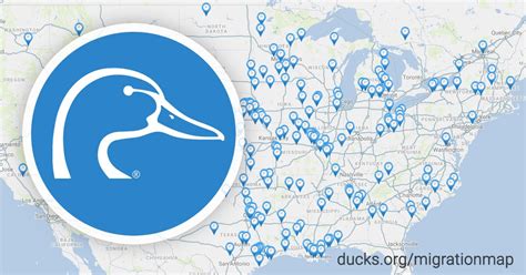 Ducks Org Migration Map Map Of The World