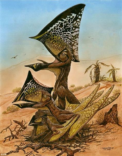 New Species Of Flying Pterosaur Discovered In Graveyard Containing 47