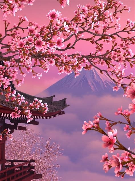 Free Download Sakura Wallpapers Images Photos Pictures Backgrounds