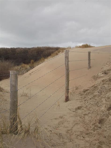 Sand Dune Fence Photograph By Willem Van Der Bom Fine Art America