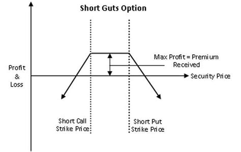 What is Guts Options (gut Spread)? Definition of Guts Options (gut ...
