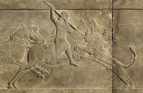 Relief Depicting Ashurbanipal Hunting A Lion 645 635 Bc The British Museum British