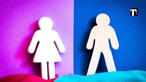 Teoria Del Gender Spiegazione Semplice Cosè E Cosa Significa True