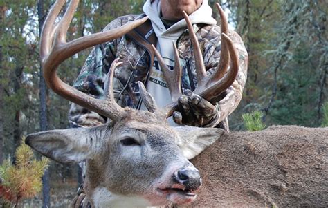 Winchester Deer Season Xp The Perfect Deer Load Winchester Ammunition