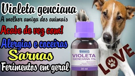 Hominis, um parasito humano obrigatório. O melhor produto para alergias e coceiras em cães! (SANTO ...