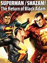 Prime Video: Superman/Shazam! The Return of Black Adam