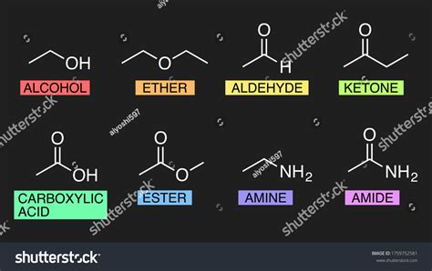 Illustration Set Of Organic Chemistry Functional Royalty Free Stock