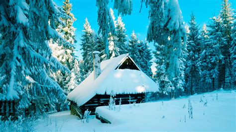 House In Winter Forest Wallpapers High Quality Download Free