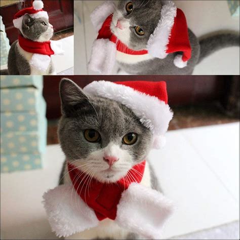Buy Lovely Cat Christmas Hat With Muffler