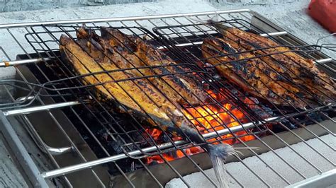 Apalagi ikan tongkol bisa diolah menjadi beragam jenis olahan ikan tongkol sehingga menggugah selera. Bakar ikan tongkol pake areng hasil jos mantap - YouTube