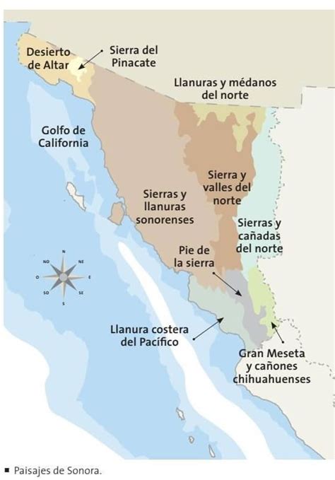 Mapa De Sonora Con Divisiones Y Nombres