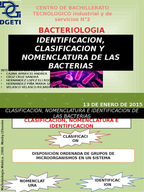 Bacteriologia Identificacion Clasificacion Y Nomenclatura De Las