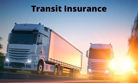 Maybe you would like to learn more about one of these? All You Need To Know While Buying A Transit Insurance Policy - RobustPosts