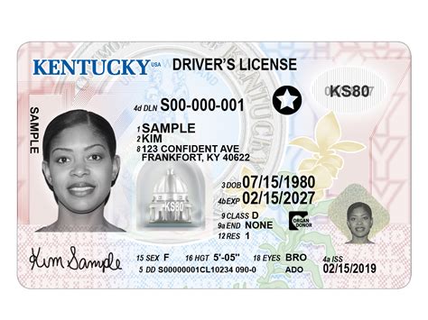 Do You Need Enhanced Drivers License To Fly Agencylasopa