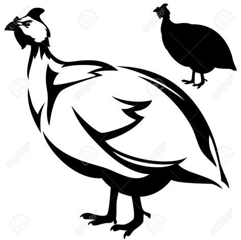 Guinea Fowl Clipart 20 Free Cliparts Download Images On Clipground 2023