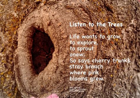 Listen To The Trees